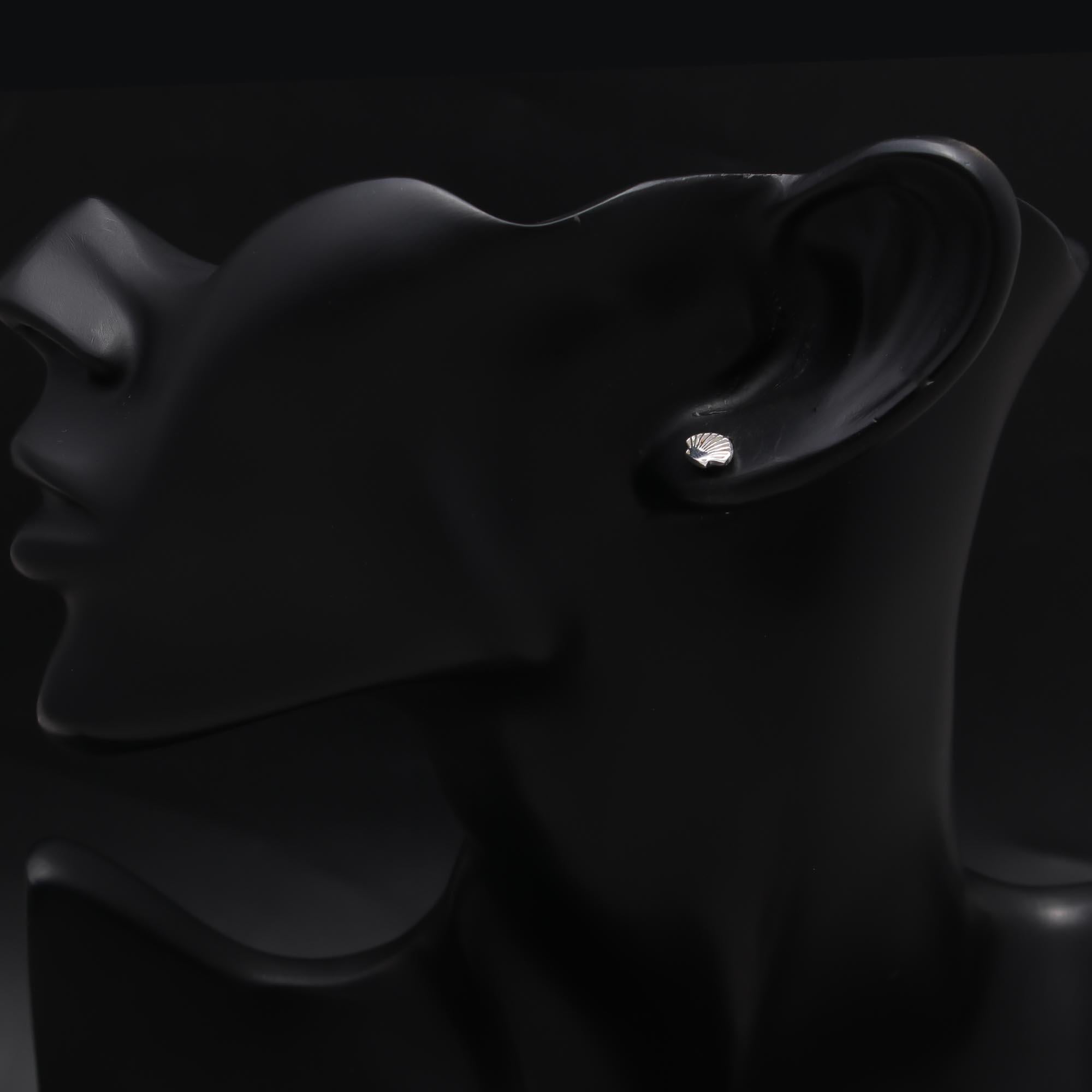 925 Sterling Silver Seashell Stud Earrings